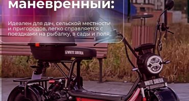 Электроскутеры и электросамокаты, а также электротрициклы.