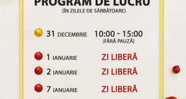 MEGASUN Program de lucru